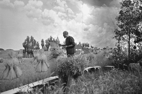 Black and white image of a man painting a mural on the back wall of a diorama. The mural depicts a farm field with farmhouses and community buildings in the distance.