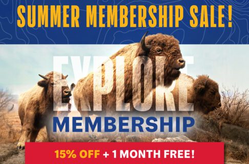 Promotional graphic for Summer membership Sale. In the centre the words EXPLORE MEMBERSHIP emerge from a photo of the iconic bison diorama. Text below reads "15% off + one month free!".