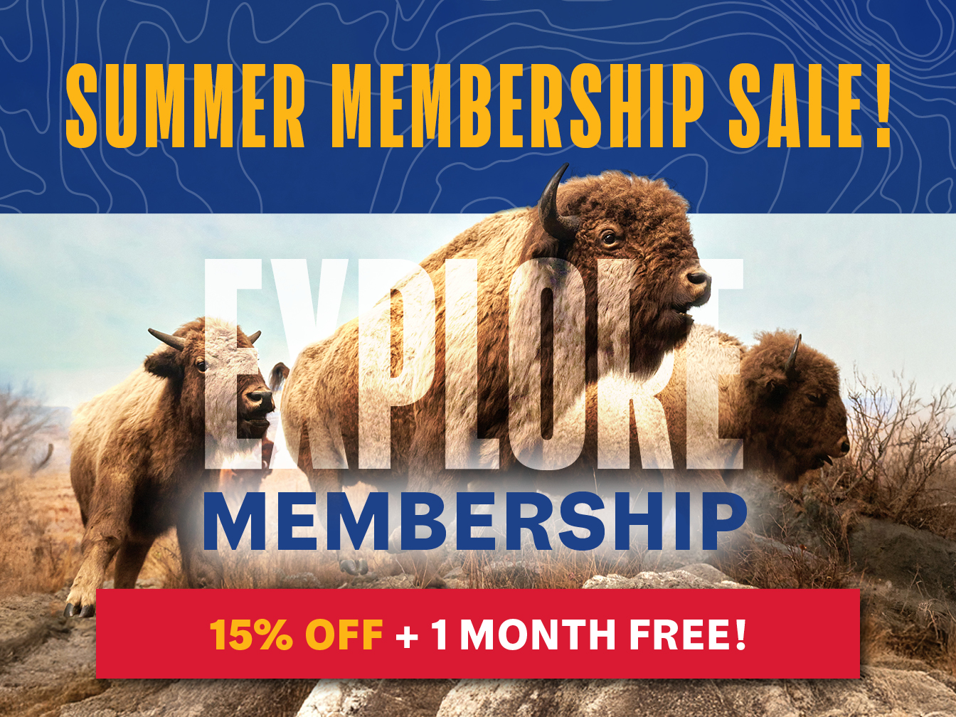 Promotional graphic for Summer membership Sale. In the centre the words EXPLORE MEMBERSHIP emerge from a photo of the iconic bison diorama. Text below reads "15% off + one month free!".