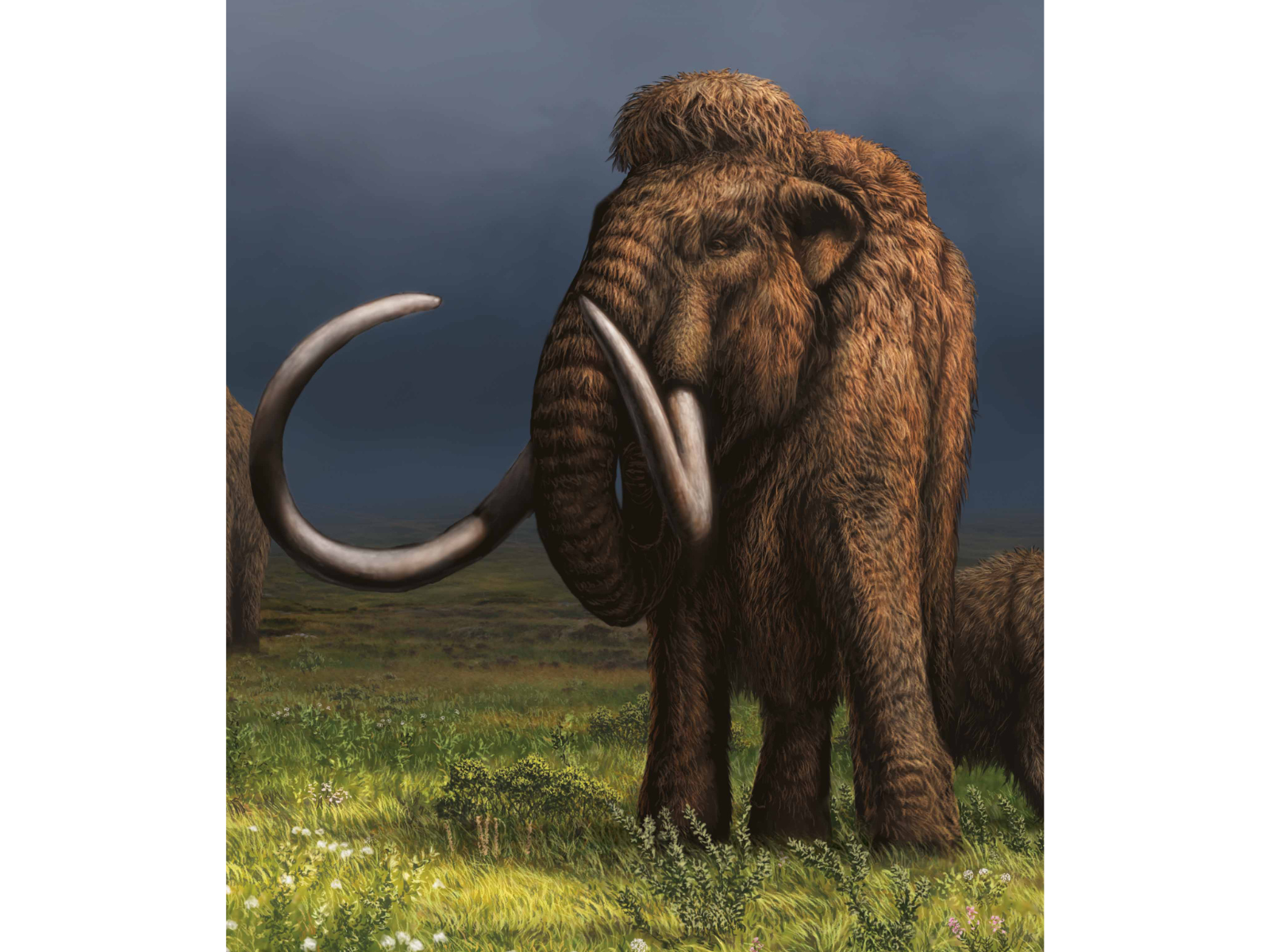 Portion of a large wall mural depicting a mammoth on a grassy plain.