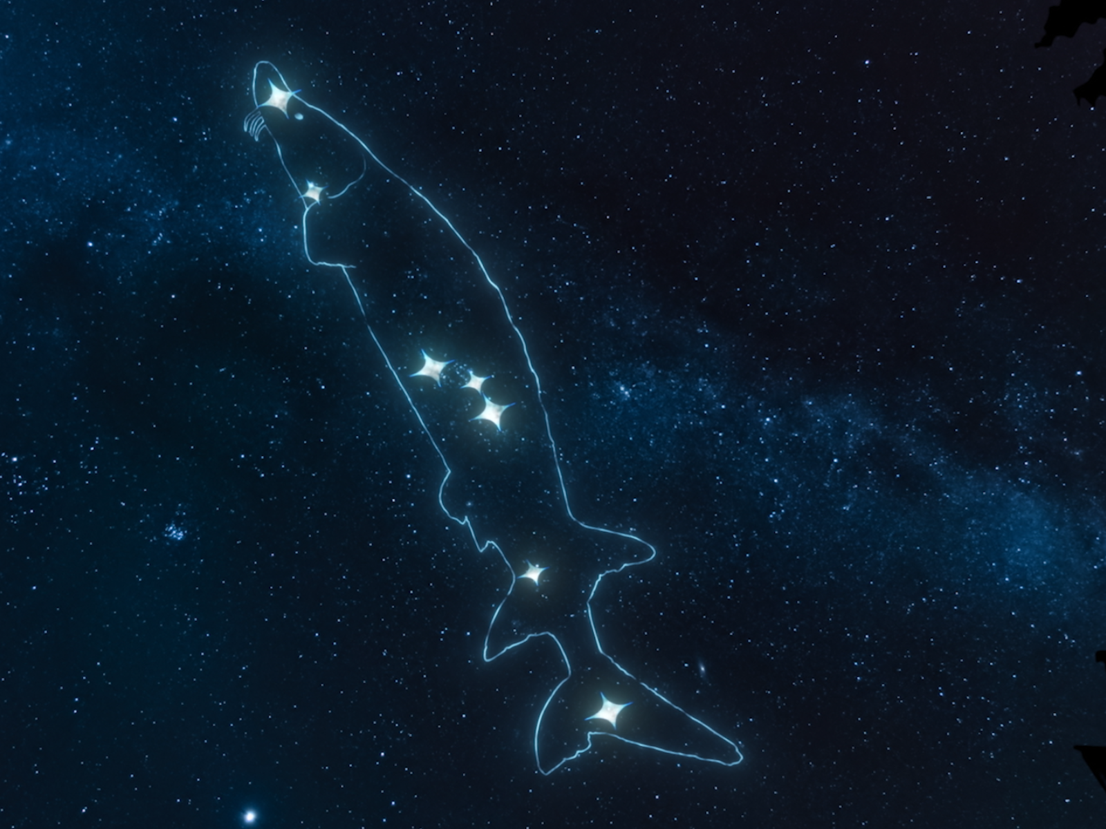Star chart showing a constellation of a sturgeon in the night sky.