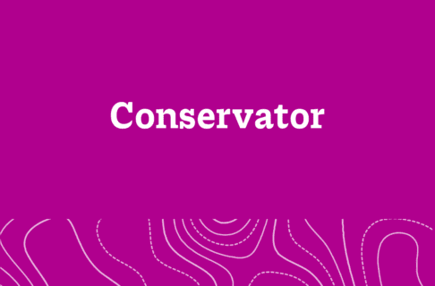 Fuchsia graphic with text reading, "Conservator".
