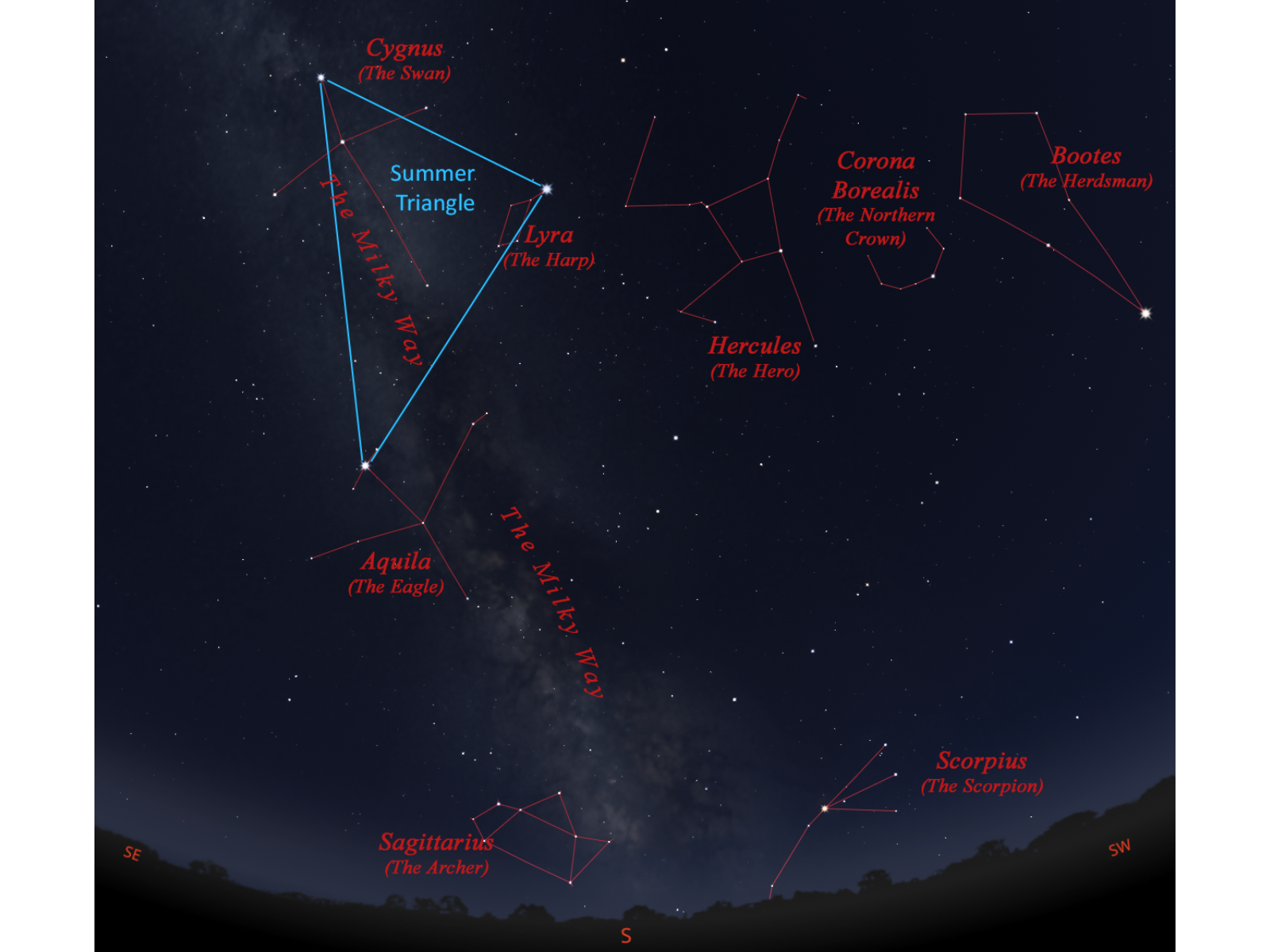 A star map showing common constellations seen in the Southeastern to Southwestern sky on summer nights. Several constellations are outlined in red, with the Summer Triangle outlined in blue.